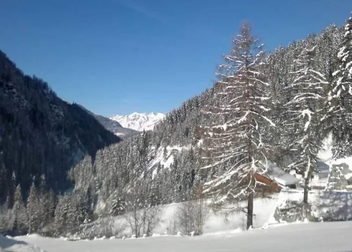 Apartment Kaunergrat *